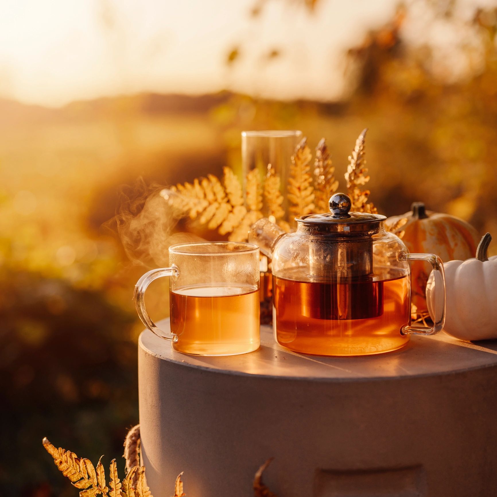 Herbal tea arranged outdoors