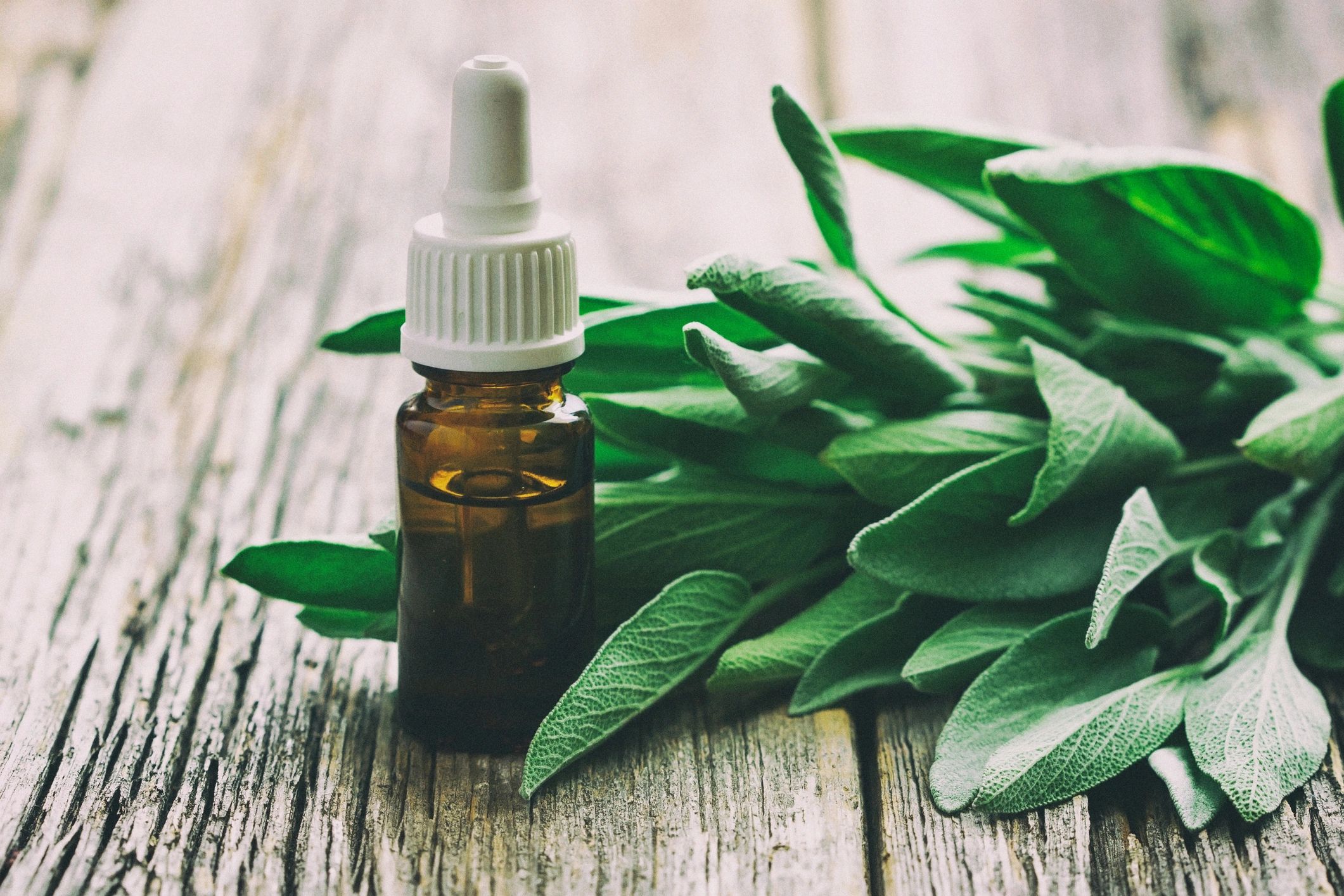 Herbal aroma oil arranged for a calming wellness ritual