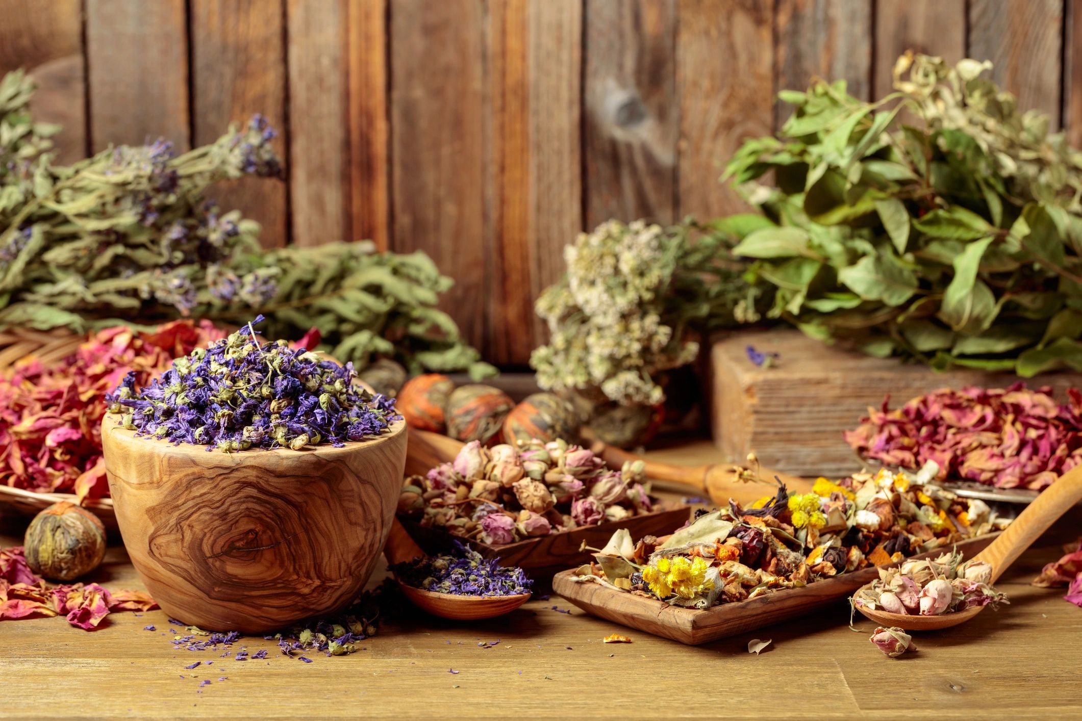 Dried medicinal herbs and flowers on a wooden surface